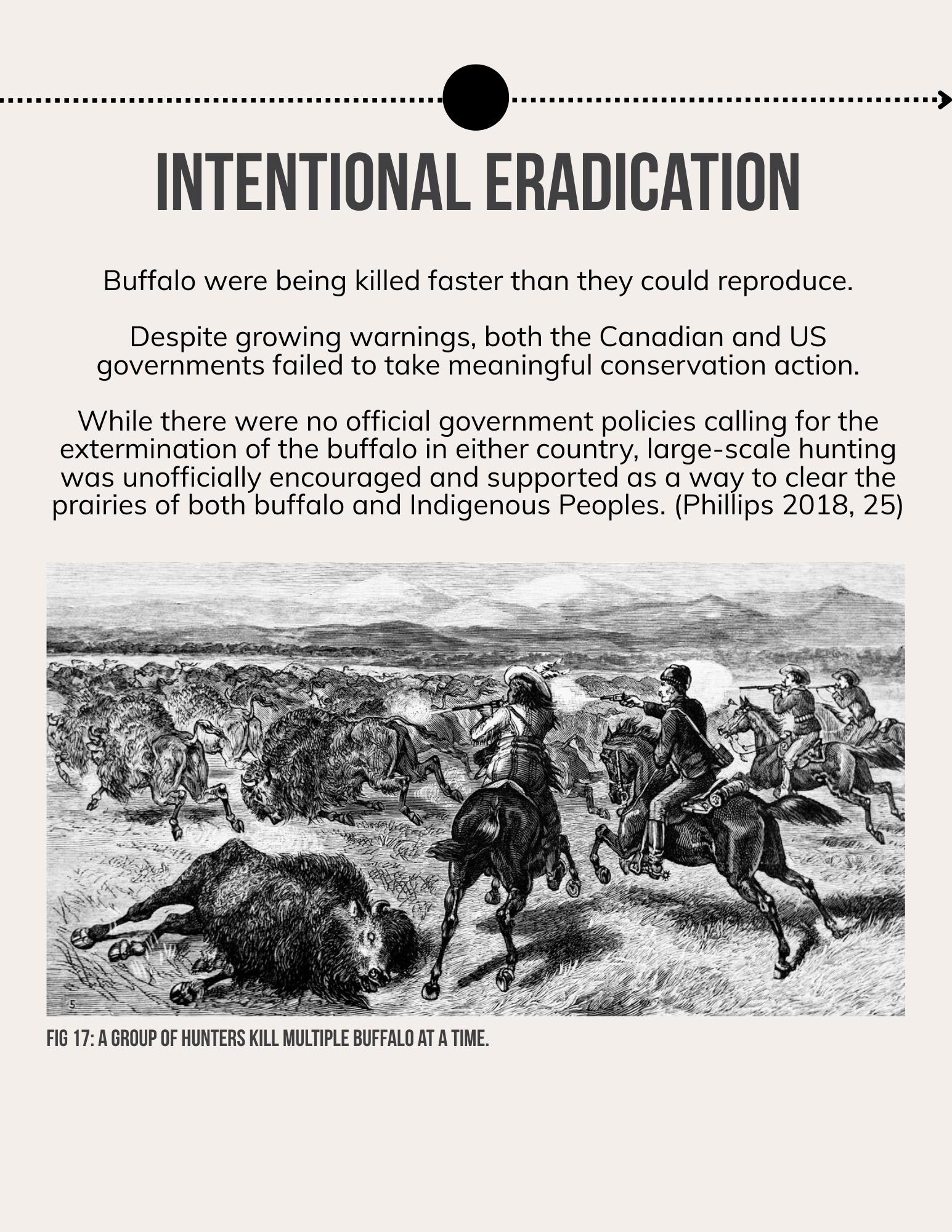 Lii Buflo: A Métis Way of Life - Page 19